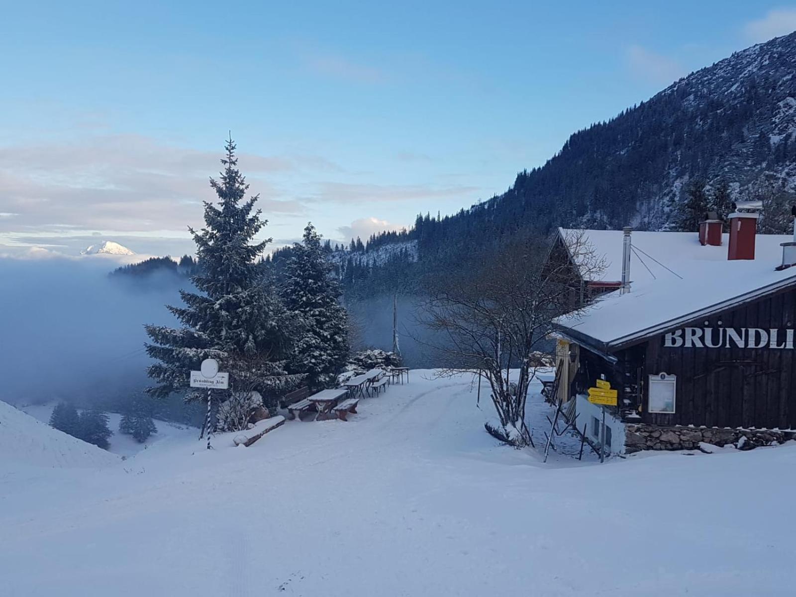 Bruendling-Alm Berggasthof Auf 1167M Auf Dem Hochfelln 卑尔根 外观 照片