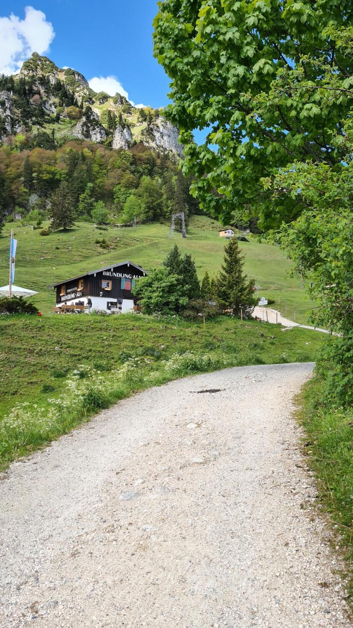 Bruendling-Alm Berggasthof Auf 1167M Auf Dem Hochfelln 卑尔根 外观 照片